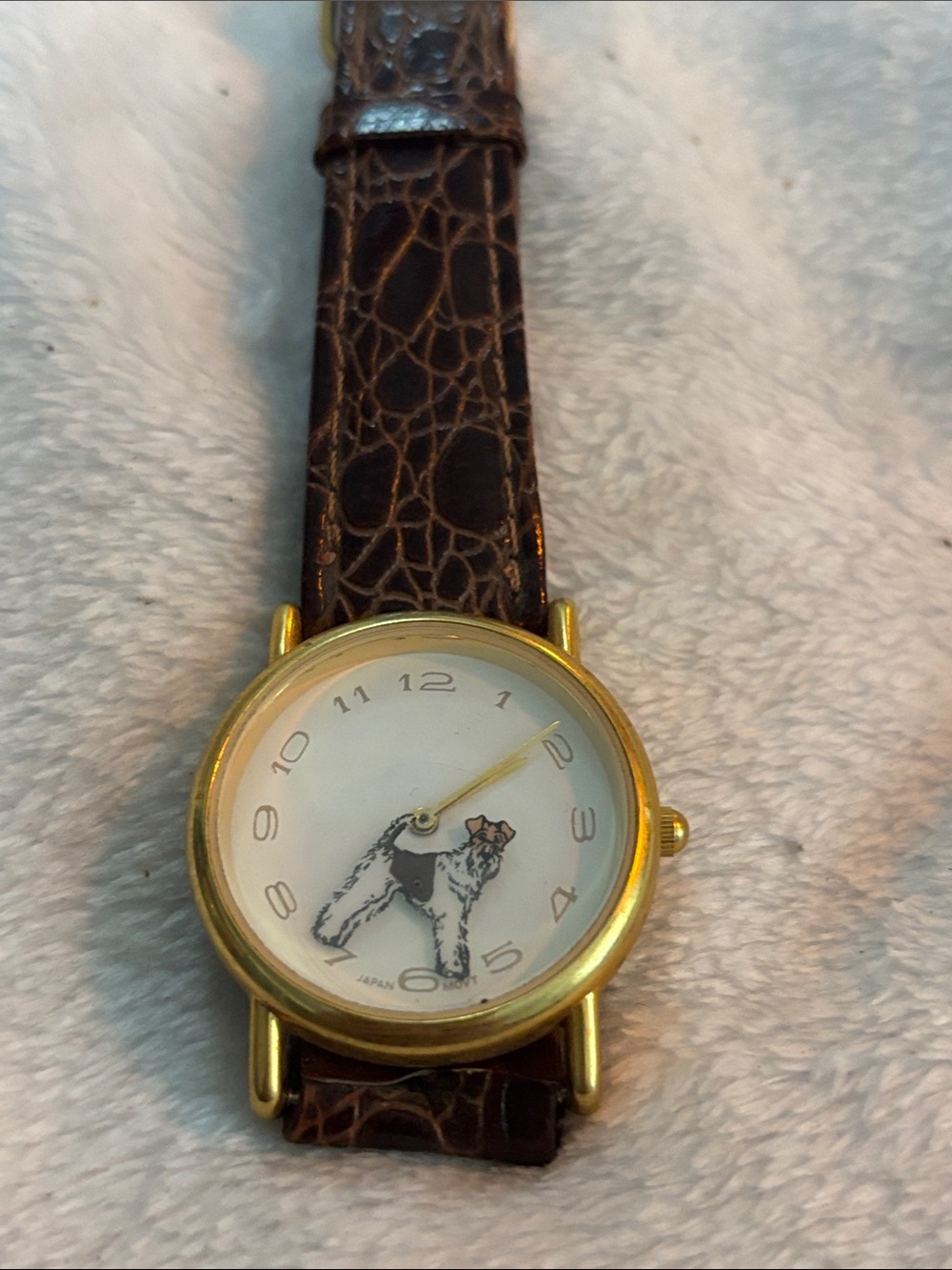 Broken watch with puppy